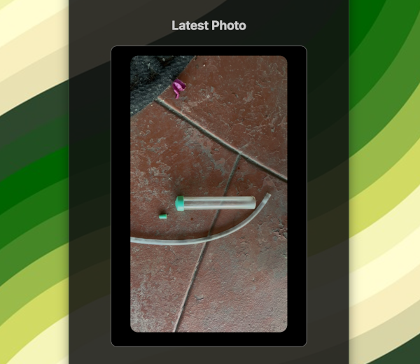 Pulling the Latest Media from Bluesky into Your Site