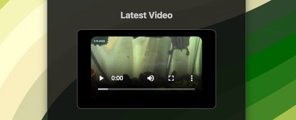 Bluesky media widget screenshot 2